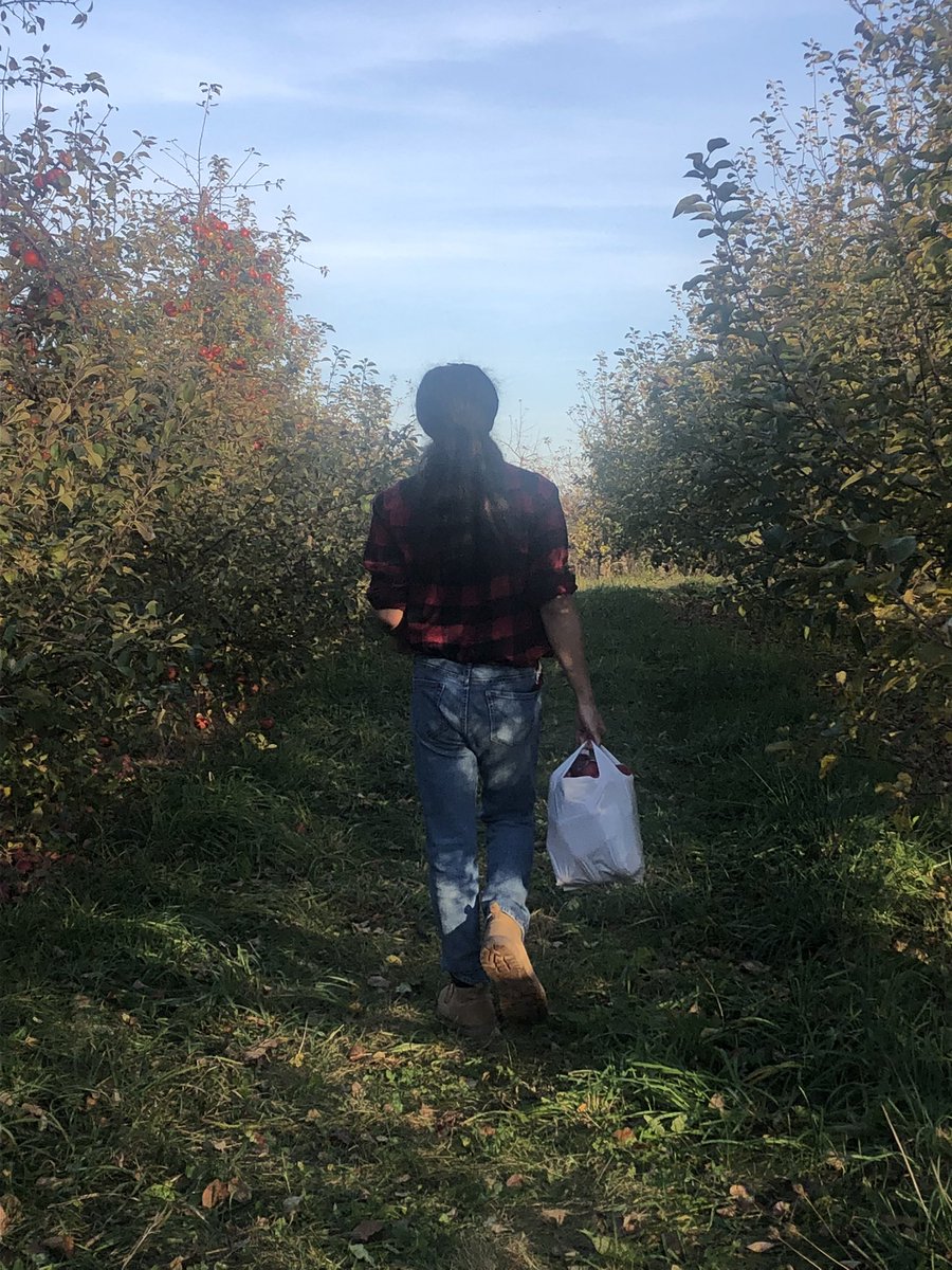 commitarsins's tweet image. I love apple season