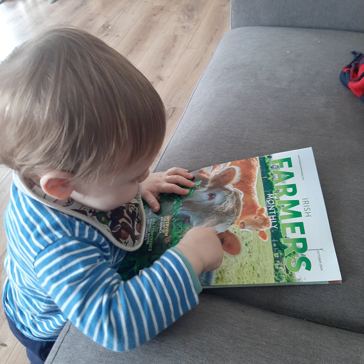 I used to enjoy when the farmers monthly magazine arrived through <a href="/ASAireland/">ASAireland</a>...but it seems Shay (11 months) has other ideas!