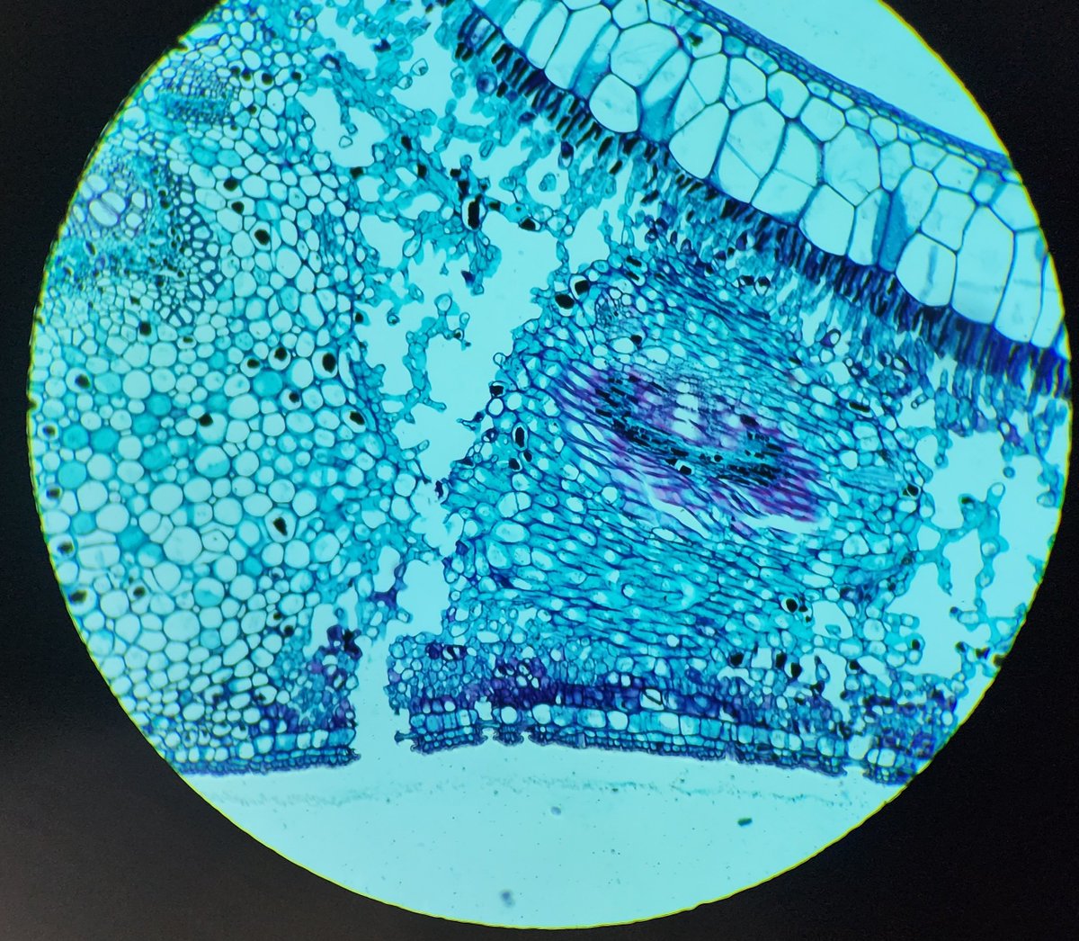 National Chemistry Week, Eastern New York ACS.
#NCW2024