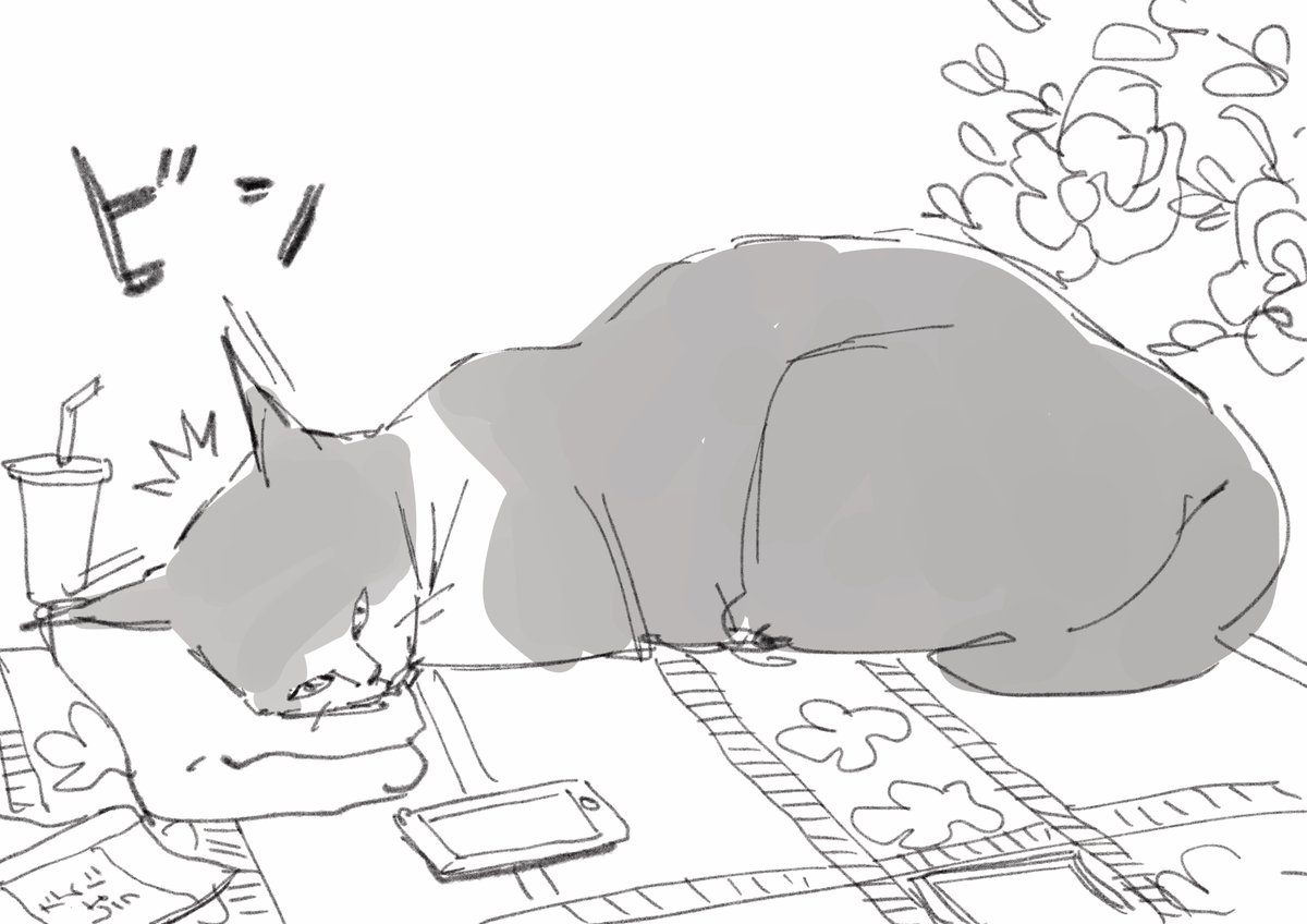 明日だと思っていた締め切りが今日だと気づいた猫 
