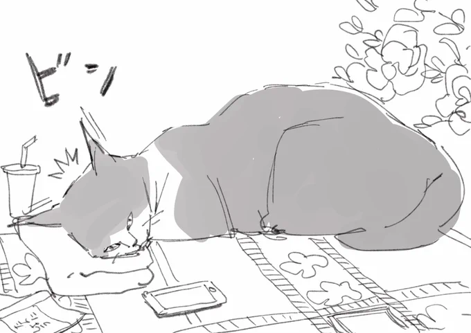 明日だと思っていた締め切りが今日だと気づいた猫 