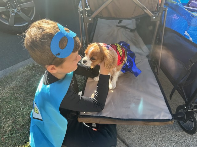 ZoudehBASD tweet media