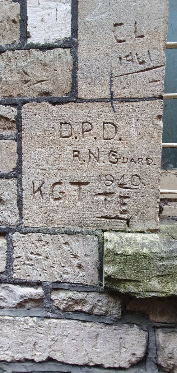 laura wilkins tweet media