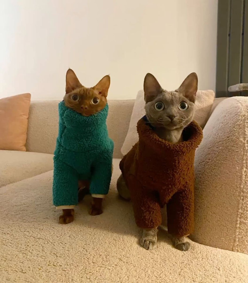 PunchingCat's tweet photo. the matching outfits 😭 https://t.co/nok3LIVp7c
