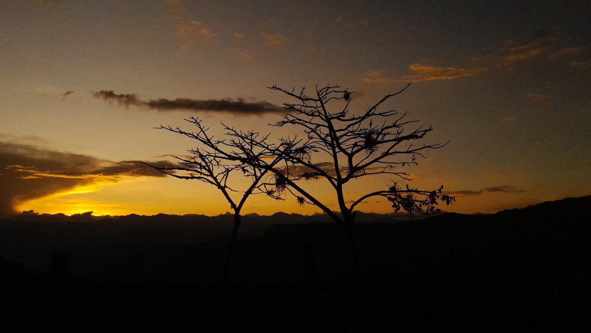 dagueru's tweet photo. https://t.co/50Coju50Gx