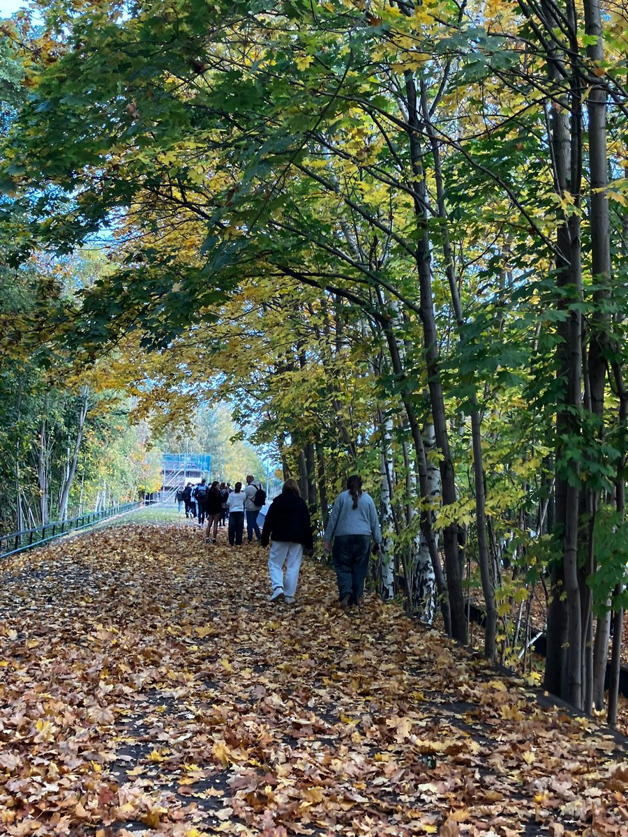 Avonbourne History tweet media