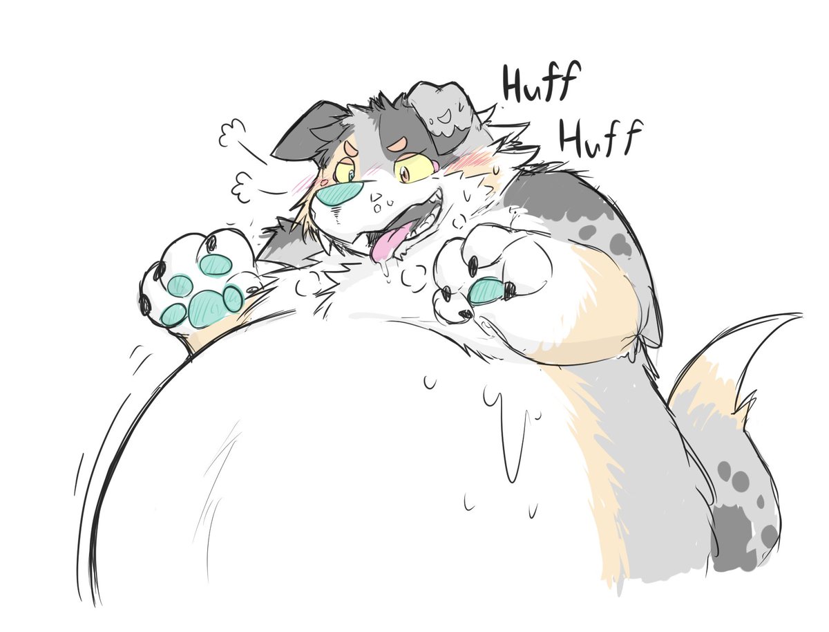 arousedlarian shepherd doodle ( <a href="/BlueNosedMutt/">M A R S H !</a> )