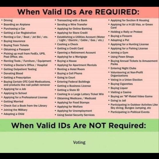 staceymeyerpics's tweet photo. Should we have to show our ID'S to Vote? Hmmm..YES! https://t.co/HoVgbr0gl8