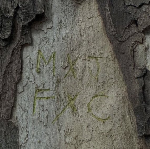 sheexotb's tweet image. mañana empieza una semana nueva y solo queremos paz, amor y tranquilidad, por favor #manifestando 🧘🏻‍♀️🫂💗