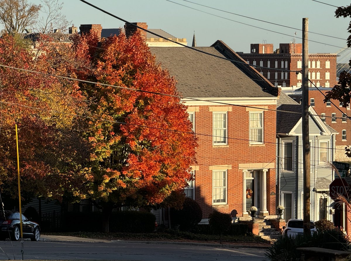 Chicken Joe 🐔 tweet media