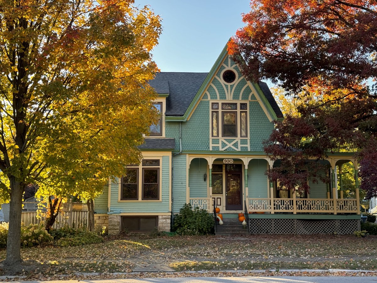 Chicken Joe 🐔 tweet media