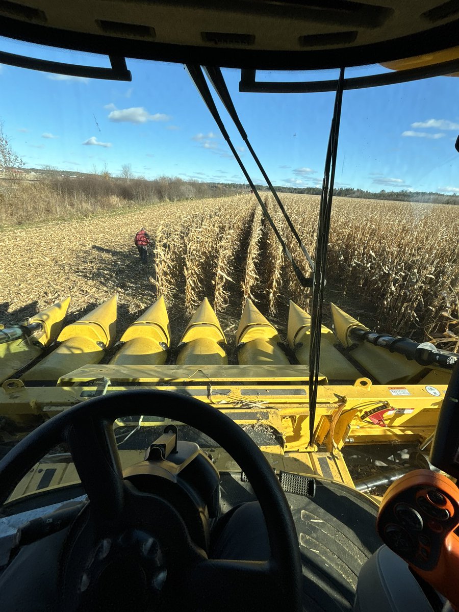 Frank Delorme tweet media