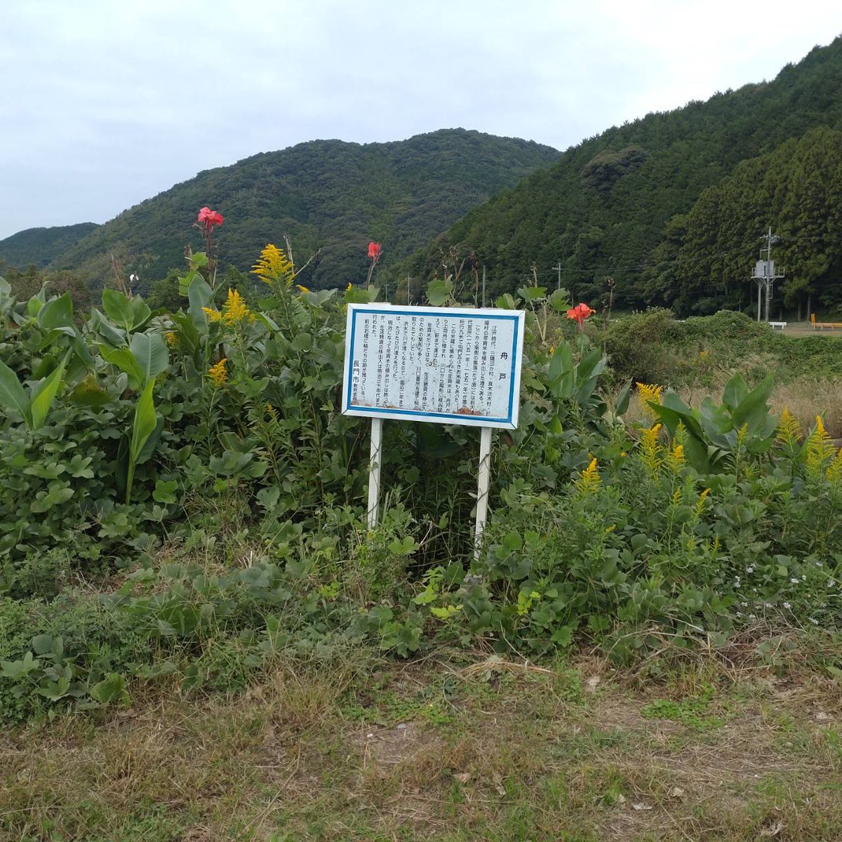 先週の草刈マンは今日三隅方面出動。周田川遺跡・向山塾跡・舟戸跡の３箇所。川の側にある舟戸跡は、かなり手強い場所でした。未指定文化財の案内看板周りをきれいにしました。
#ヒストリアながと #長門市文化財 #草刈りマン