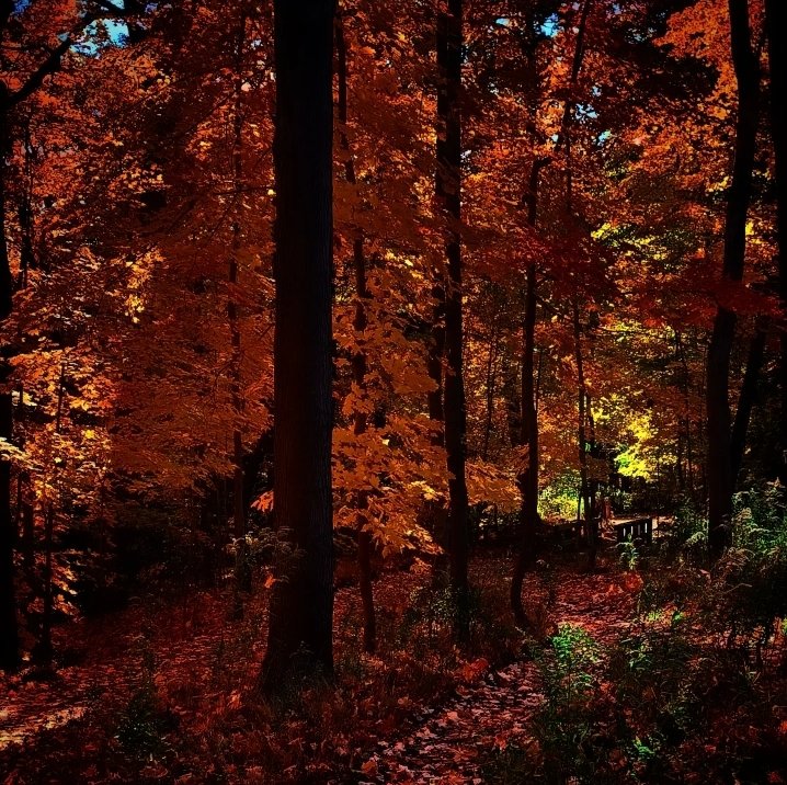 Just one more Halloween, before we part 🧡

Coming Soon -
Episode 289:
Allhallowtide, Part 7.

Catch up on episodes 1-288 at the link in my bio, any #podcast app, or via <a href="/thesonarnetwork/">The Sonar Podcast Network 🎙</a>.