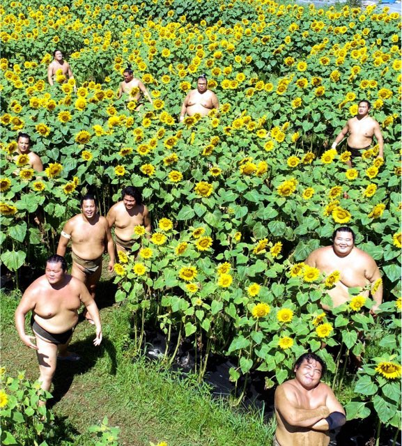 and it's not particularly close