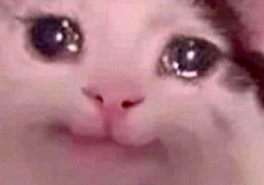 shoutout to all the autistic ppl who got maliciously misunderstood as a kid and thought they could fix it by learning to speak with well-researched precision but ended up getting hated even more as a result because now people think you’re just using big words to try to show off