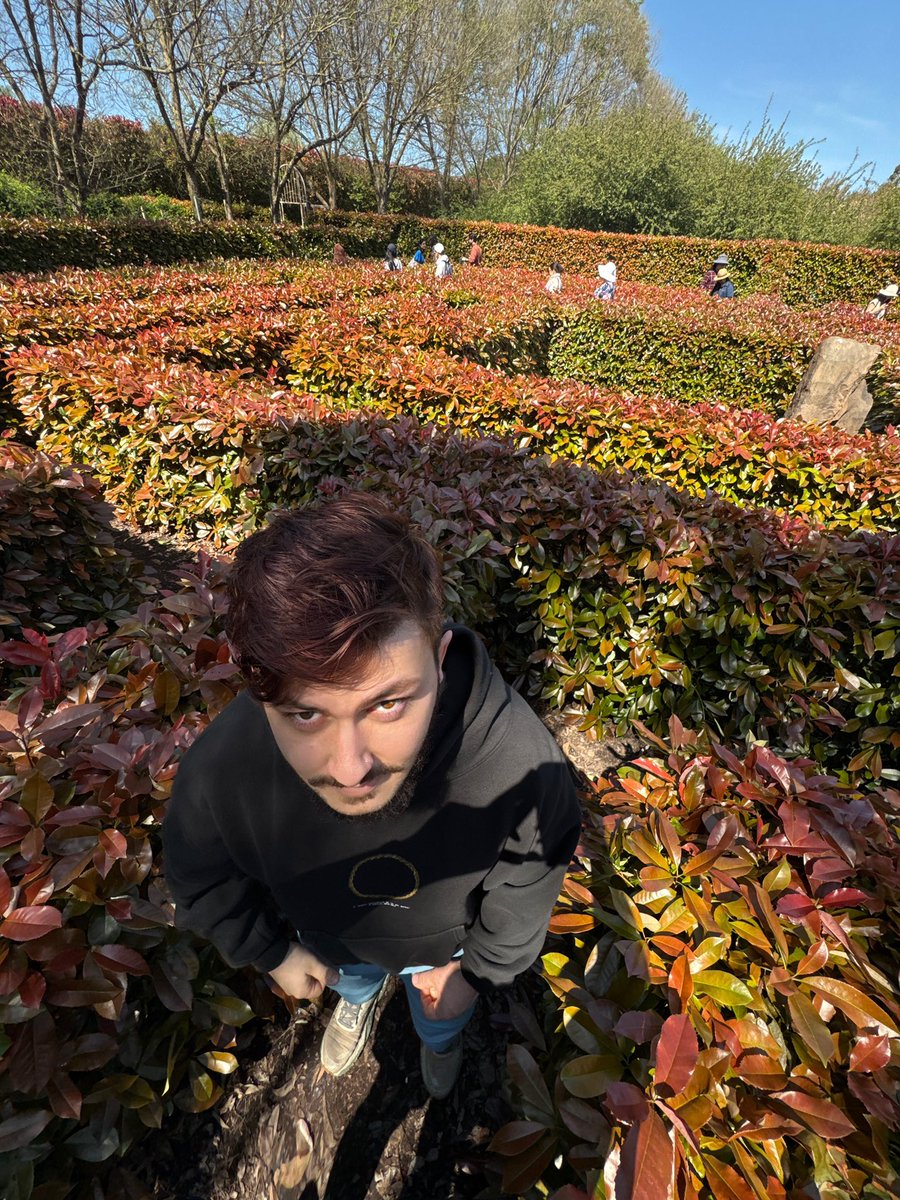 elijahaura's tweet photo. meet me in the maze https://t.co/NU0gH44Glm