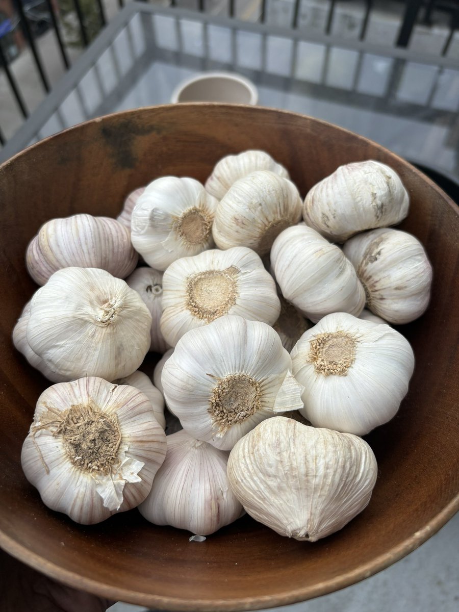 tubadsouza tweet media