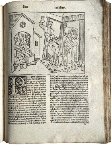 On the Properties of Things) is a medieval encyclopedia. Only three copies know of this incunabulum. It is a bit vulgar to talk about price, but low. …inbergerrarebooks.cdn.bibliopolis.com/images/upload/…