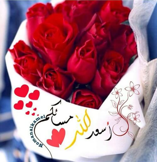 Mostafa1217434's tweet photo. @marrryamv @Mllk_11 https://t.co/GxavN6VdiB