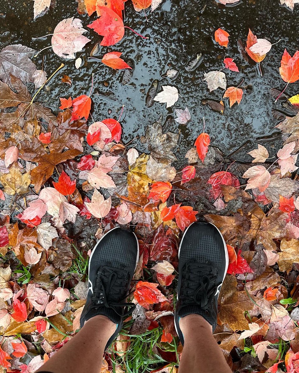 BrimJulia's tweet image. Out w/Covid 🤧 for 7 days and I am a Portlander, so rain was not going to be the excuse to not go for a run this pm. Beautiful fall 🍁 colors amidst the rain gusts. *photo credit to the other neighbor out walking and capturing Portland’s fall beauty. #portlander #runningintherain