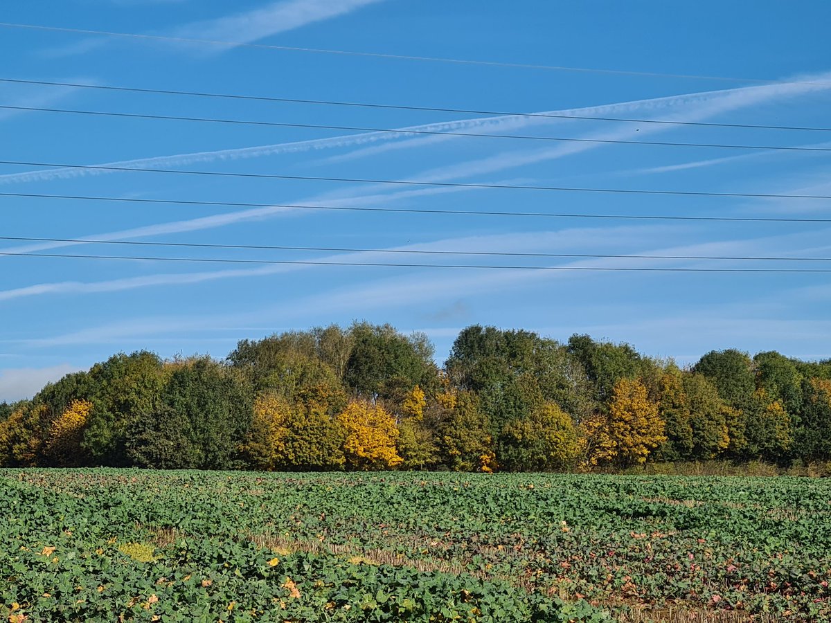 pjrookes's tweet photo. Just 3 to go to complete all 44 Millenium  circular walks. Today's walk over 9 miles from All Saints Church in Middleton Cheney, Northants, the most southern of these walks. Beautiful sunny day showed honey coloured stone and Autumn-hued trees at their best. https://t.co/FIdjNnX14I