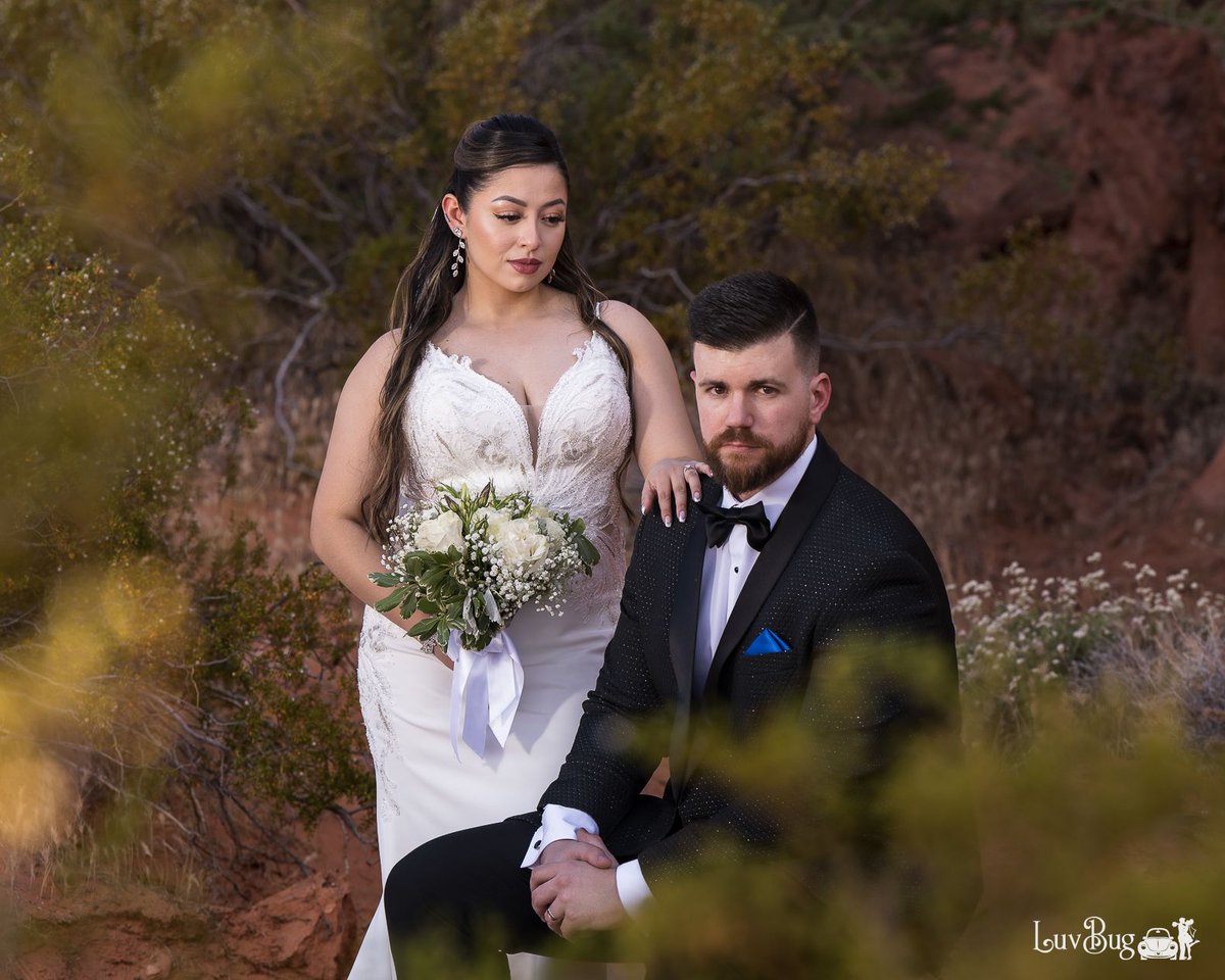LVLuvBug's tweet photo. Congrats Jennifer and Richard on your Valley of Fire wedding!
#valleyoffire #lasvegaswedding #vegaswedding #elopement #lasvegasweddingphotographer #microwedding #lasvegasweddingphotographer #destinationwedding #desertwedding https://t.co/bfLNTMuq3y