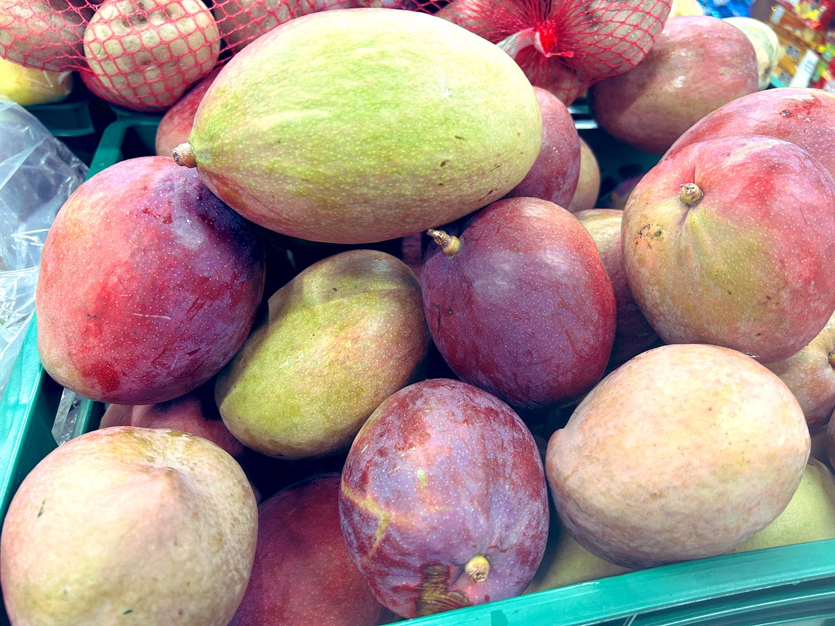 Tropical Plant Clinic & Research Lab (@clinicplant) on Twitter photo First day exploring fruit available in #Colombia #Ibague supermarkets. Excited for tomorrow’s workshop on #tropical #plantpathology 🥭🥑 <a href="/APS_Tropical/">APS Tropical Plant Pathology Committee</a> <a href="/APS_PHC/">APS Postharvest Pathology Committee</a> <a href="/APS_OIP/">APS Office of International Programs</a> <a href="/UFPlantPath/">UF/IFAS Plant Pathology Department</a> <a href="/UFTropical/">UF IFAS Tropical Research and Education Center</a> <a href="/ASCOLMicologia/">ASOCIACIÓN COLOMBIANA DE MICOLOGÍA ASCOLMI</a> <a href="/llCCMicologia/">Congreso Colombiano de Micología</a> 🍄🍄🍄 #avocado #aguacate #mango First day exploring fruit available in #Colombia #Ibague supermarkets. Excited for tomorrow’s workshop on #tropical #plantpathology 🥭🥑 <a href="/APS_Tropical/">APS Tropical Plant Pathology Committee</a> <a href="/APS_PHC/">APS Postharvest Pathology Committee</a> <a href="/APS_OIP/">APS Office of International Programs</a> <a href="/UFPlantPath/">UF/IFAS Plant Pathology Department</a> <a href="/UFTropical/">UF IFAS Tropical Research and Education Center</a> <a href="/ASCOLMicologia/">ASOCIACIÓN COLOMBIANA DE MICOLOGÍA ASCOLMI</a> <a href="/llCCMicologia/">Congreso Colombiano de Micología</a> 🍄🍄🍄 #avocado #aguacate #mango