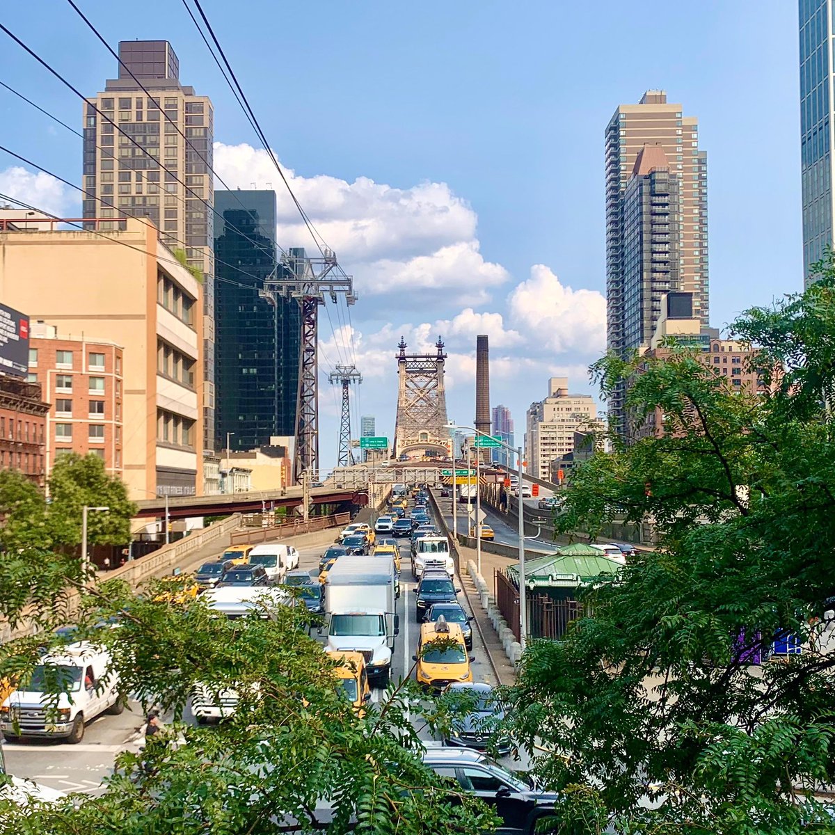 Ryan Don tweet media