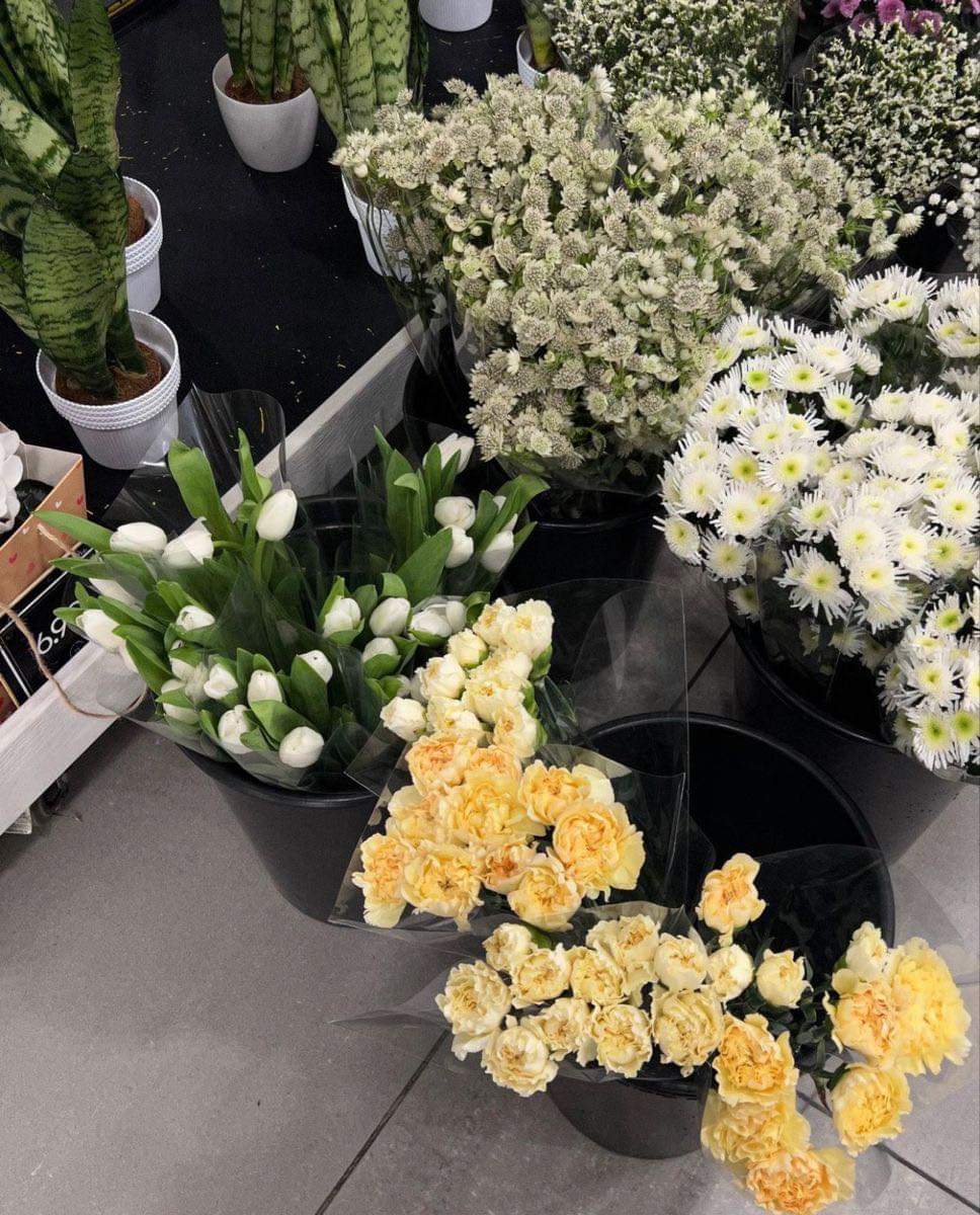 อย่าโทษใครกับสิ่งที่เกิดขึ้น เพราะทั้งหมดที่เกิดขึ้นเราเป็นคนเลือกเอง.❤️‍🩹🍃