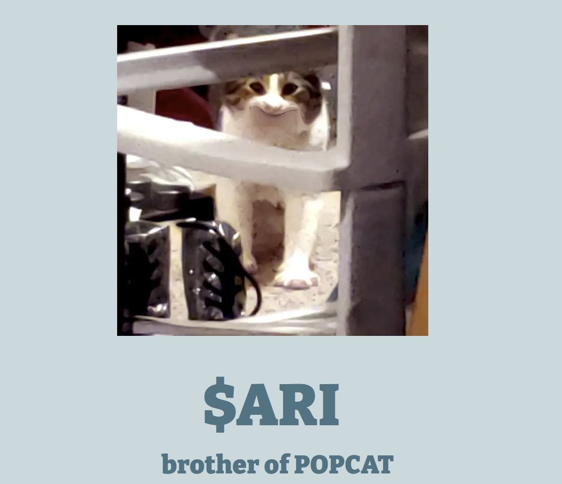 popcatari's tweet photo. you can now "POP" ARI on the website :) https://t.co/lQjIMjQFto