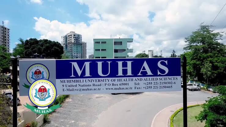 YudaSulePascha1's tweet image. New year ; New Beginning.

Let’s pray for all students both Freshers and continuing as they embark new journey of new academic year 2024/2025.

May the dreams come true.
#MUHAS #NewAcademicYear #NewBeginning