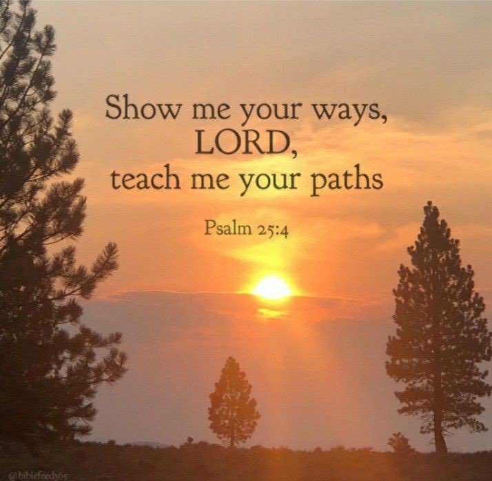 Sxosh X (@sxoshzn) on Twitter photo 