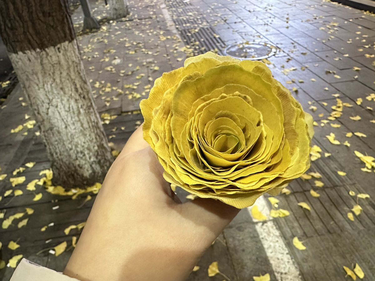 HanAlvis's tweet photo. 在短和秃之间选择了又短又秃……有没有什么不掉头发的方法啊☹️
为什么剪短了还掉啊！ https://t.co/bEhYukV48W