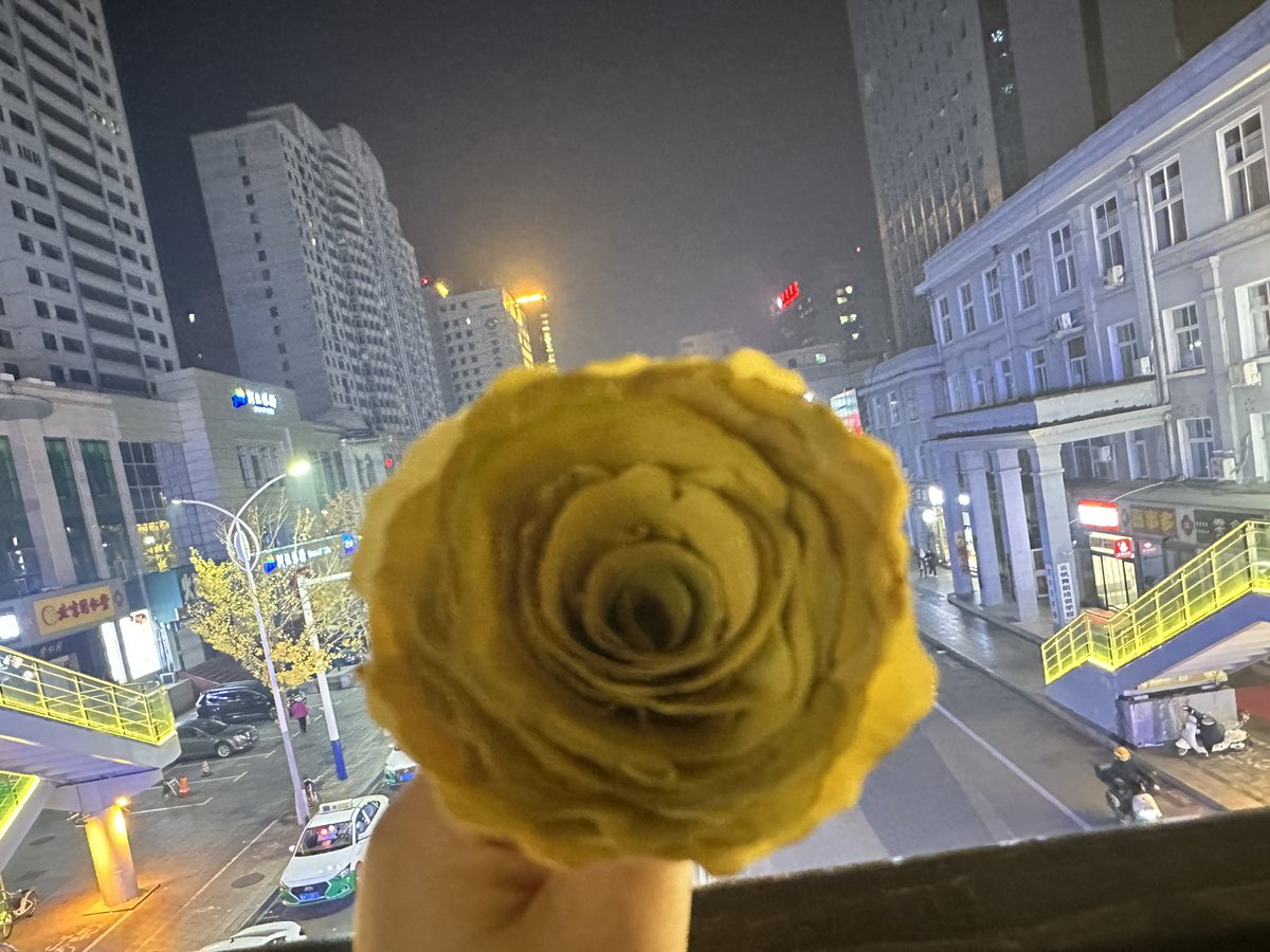 HanAlvis's tweet photo. 在短和秃之间选择了又短又秃……有没有什么不掉头发的方法啊☹️
为什么剪短了还掉啊！ https://t.co/bEhYukV48W