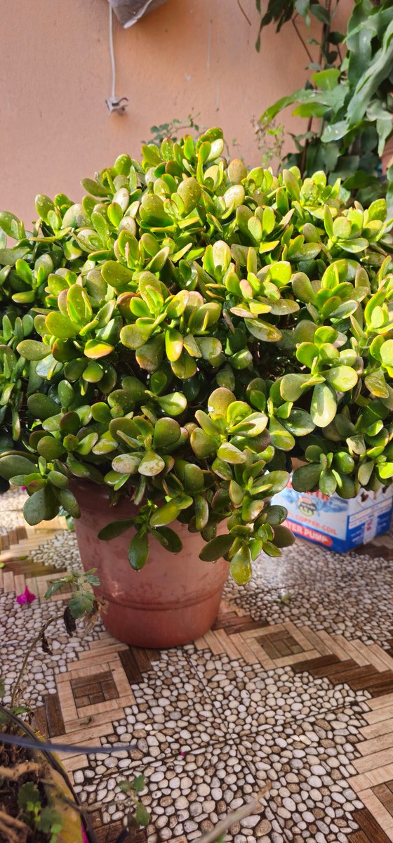 यथार्थ नबुझी दोष लगाउने जमानामा, मन दुखाएर होईन मन बुझाएर जिउनुपर्छ I ❤️