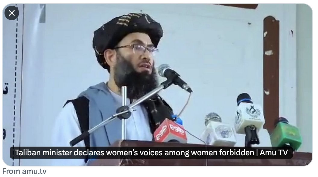 Now the Taliban have banned Afghan women from talking to each other even inside their own homes. At what point will the world be outraged by this misogyny? The dangers of this patriarchal and toxic project will have wider consequences in the region and the world. 

How will the
