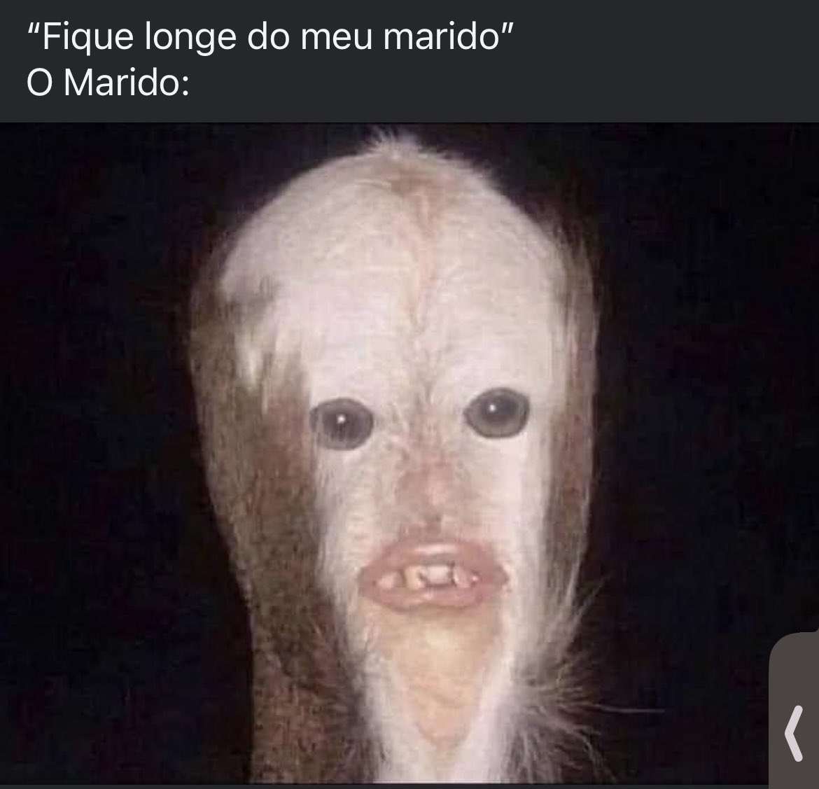 Carvalhodecarv's tweet photo. Affffff 😂 https://t.co/FTjjehOtTF