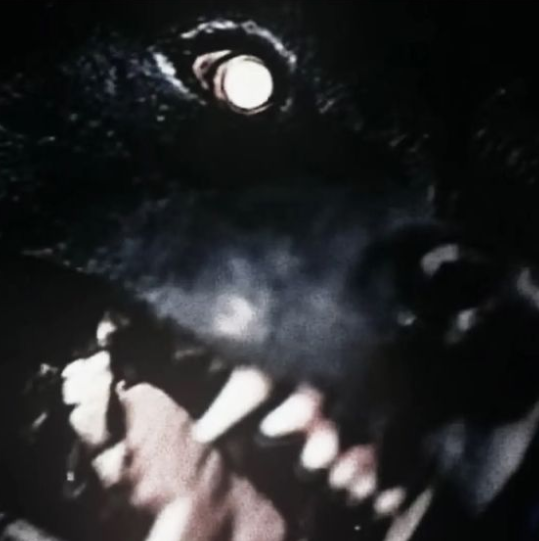 ✞ 🗝️ (@hakaelll) on Twitter photo 