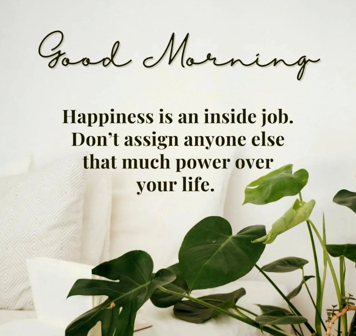 sgcoolcoolday's tweet photo. #goodmorning #goodmorningsingapore #sgccd #MondayBlues #MondayEnergy #MondayFeeling #MondayFun #MondayMadness #MondayMood #MondayMorning #MondayMotivation #MondayQuotes #MondayThoughts #MondayTopic #MondayStyle #MondayVibes #MondayWakeUp #MondayWellness #MondayWisdom #Monday https://t.co/U4RhhWaz6T