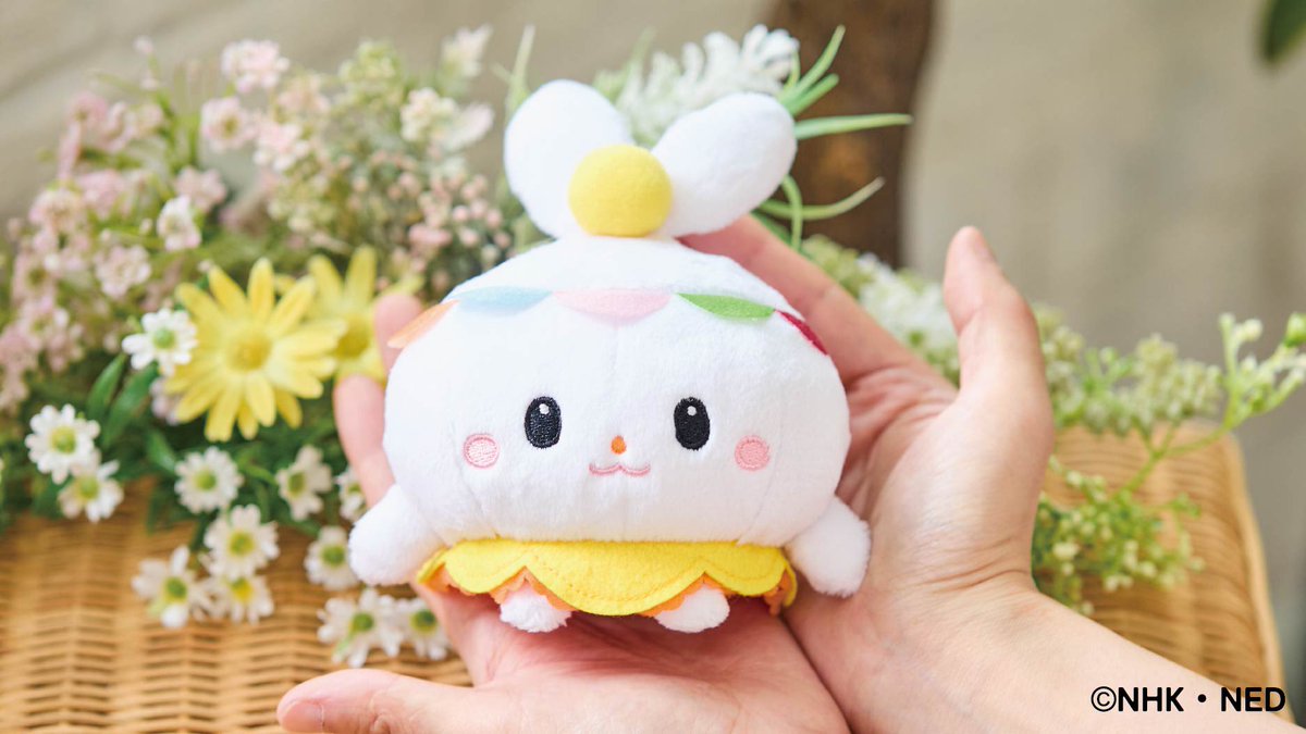 🌈#いないいないばあっ ！まぁるのぬいぐるみが仲間入り🌈 10/28から