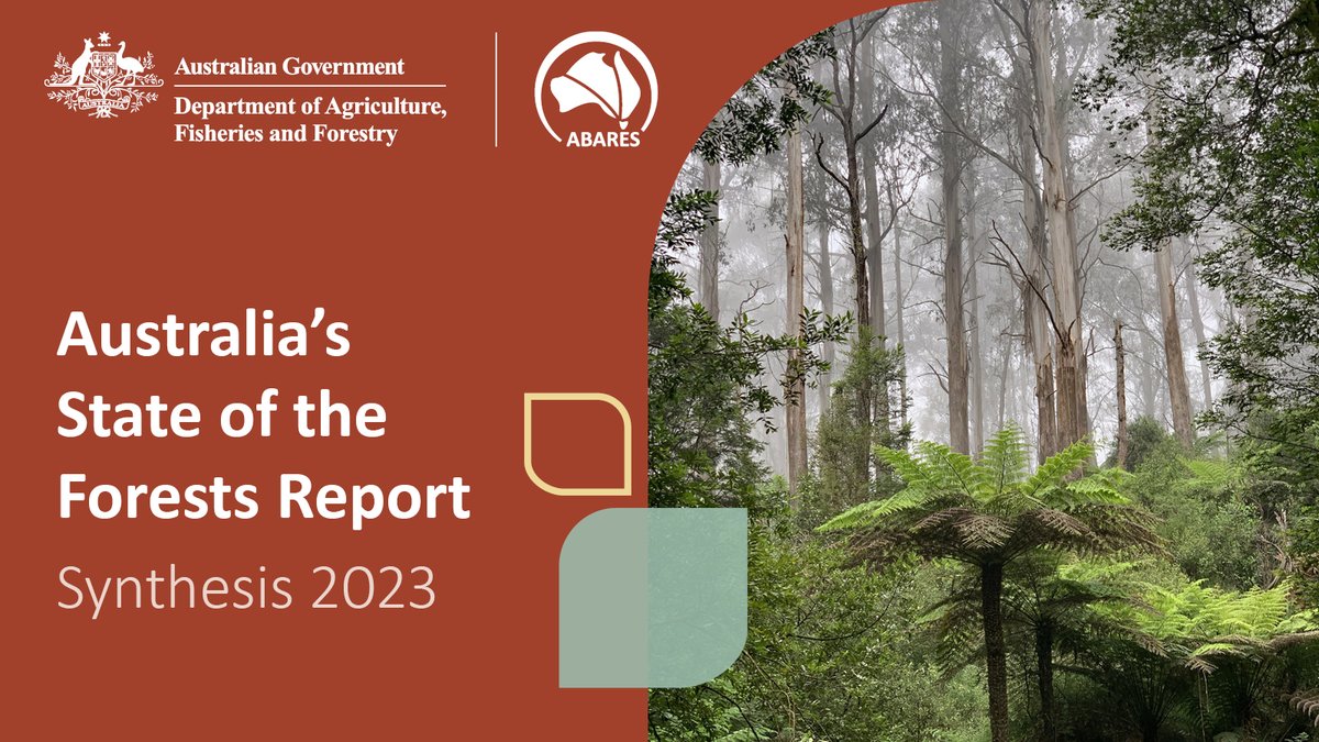 🌳 A tree-mendous resource! 🌳

Explore the latest insights on the health, prosperity and sustainable management of Australia’s forests in the Australia’s State of the Forests Report: Synthesis 2023.

For more information, visit: brnw.ch/21wO9rt
