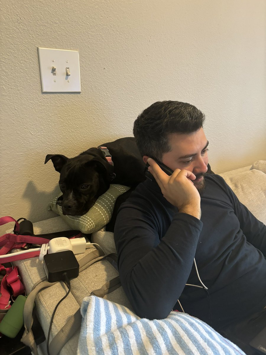 GraceGabrielleG's tweet photo. Los pitbull mix son bien agresivos, especialmente con gente nueva.

Mi pitmix con gente nueva: https://t.co/2bvgTM4wK8