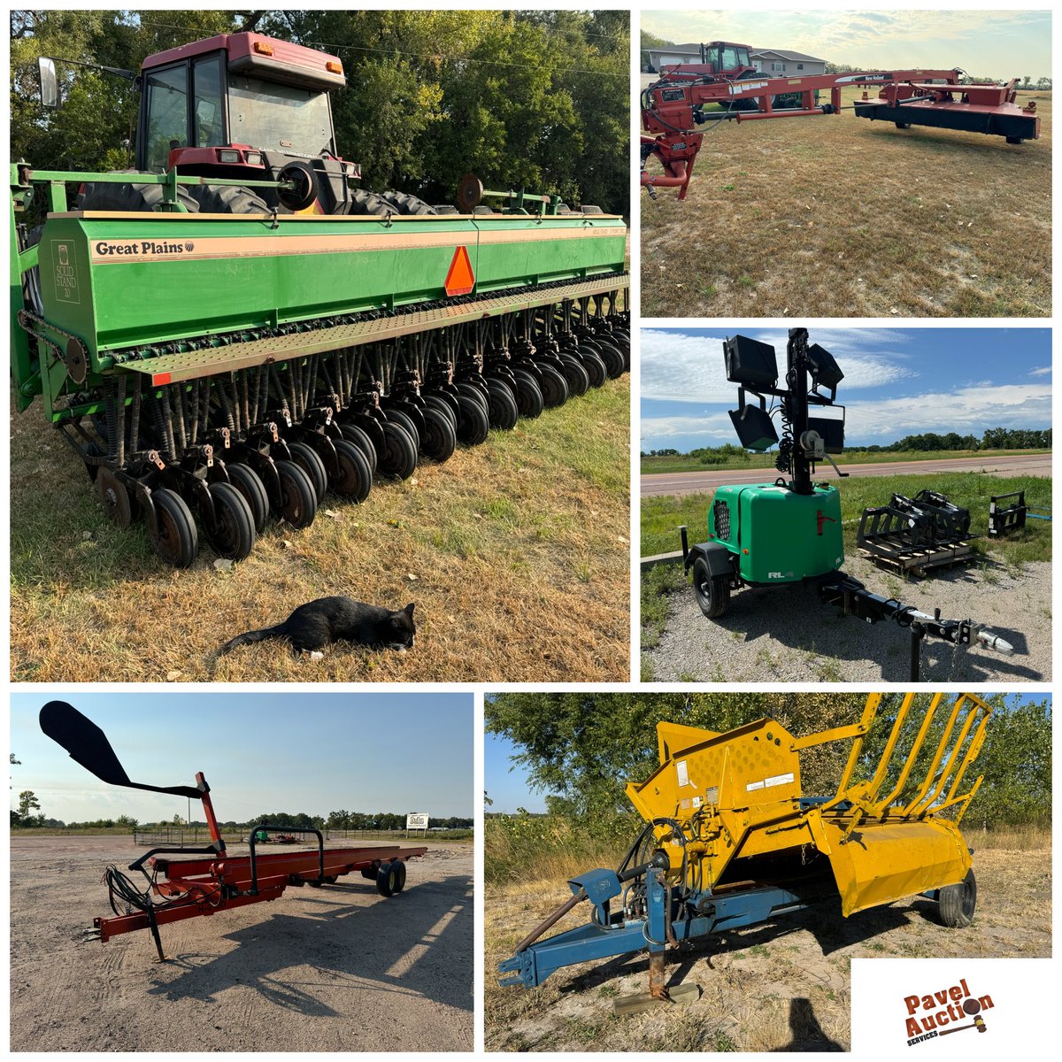 Pavel Auction Services tweet media