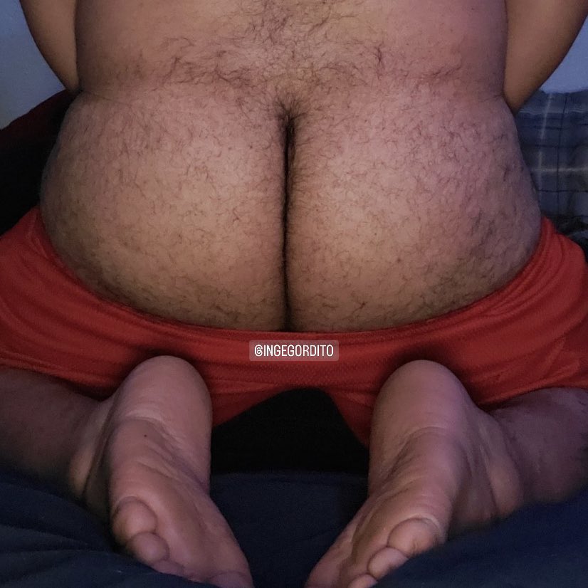 Inge Gordito 70K tweet media