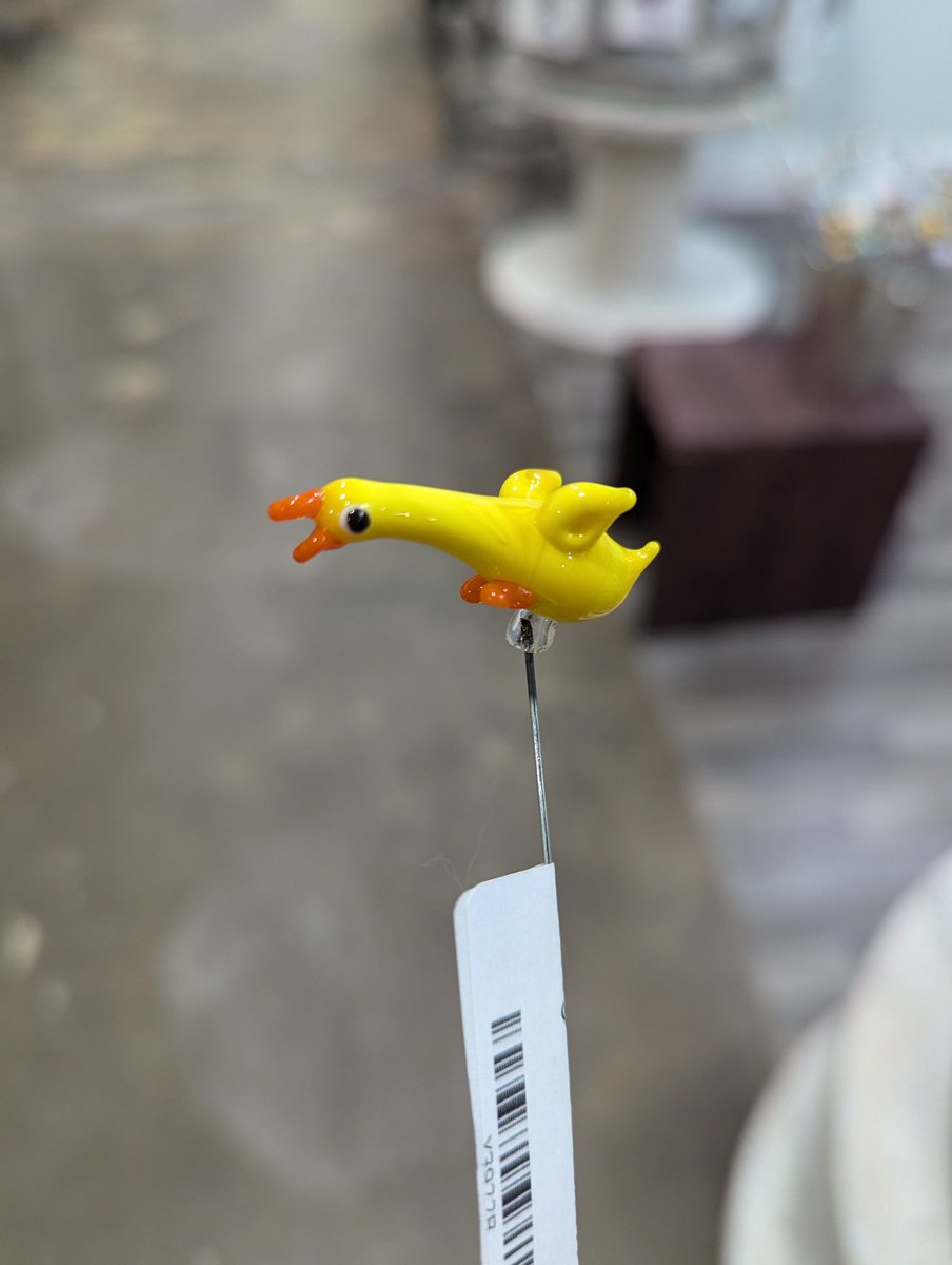 I bought this really cute ducky