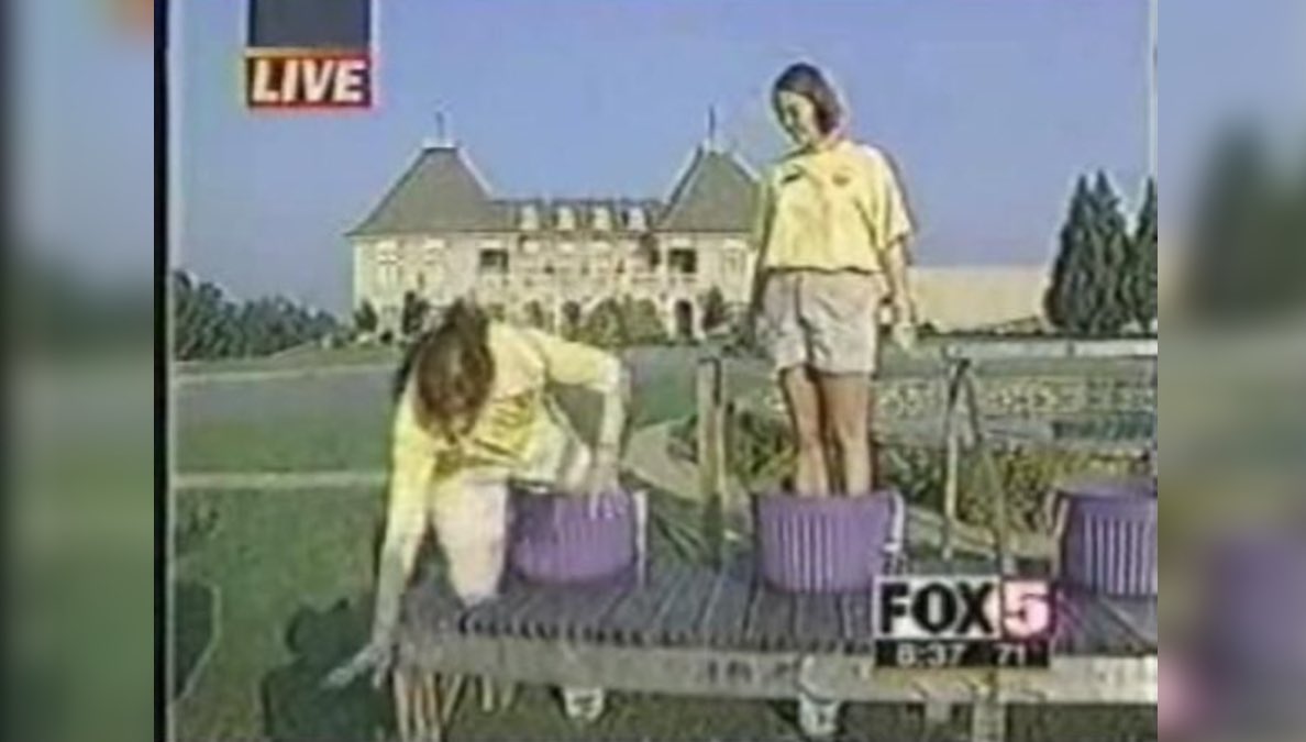 djborlov's tweet photo. I hate gay Halloween, what do you mean your the grape lady falling from the viral YouTube video https://t.co/8OLejUh4aK