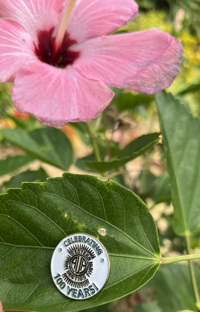 nlramey's tweet photo. Great day celebrating 100 years! Can’t wait for tomorrow 🌺

@auawest #wsaua24 @KKseattle https://t.co/kyQWZHXAdF