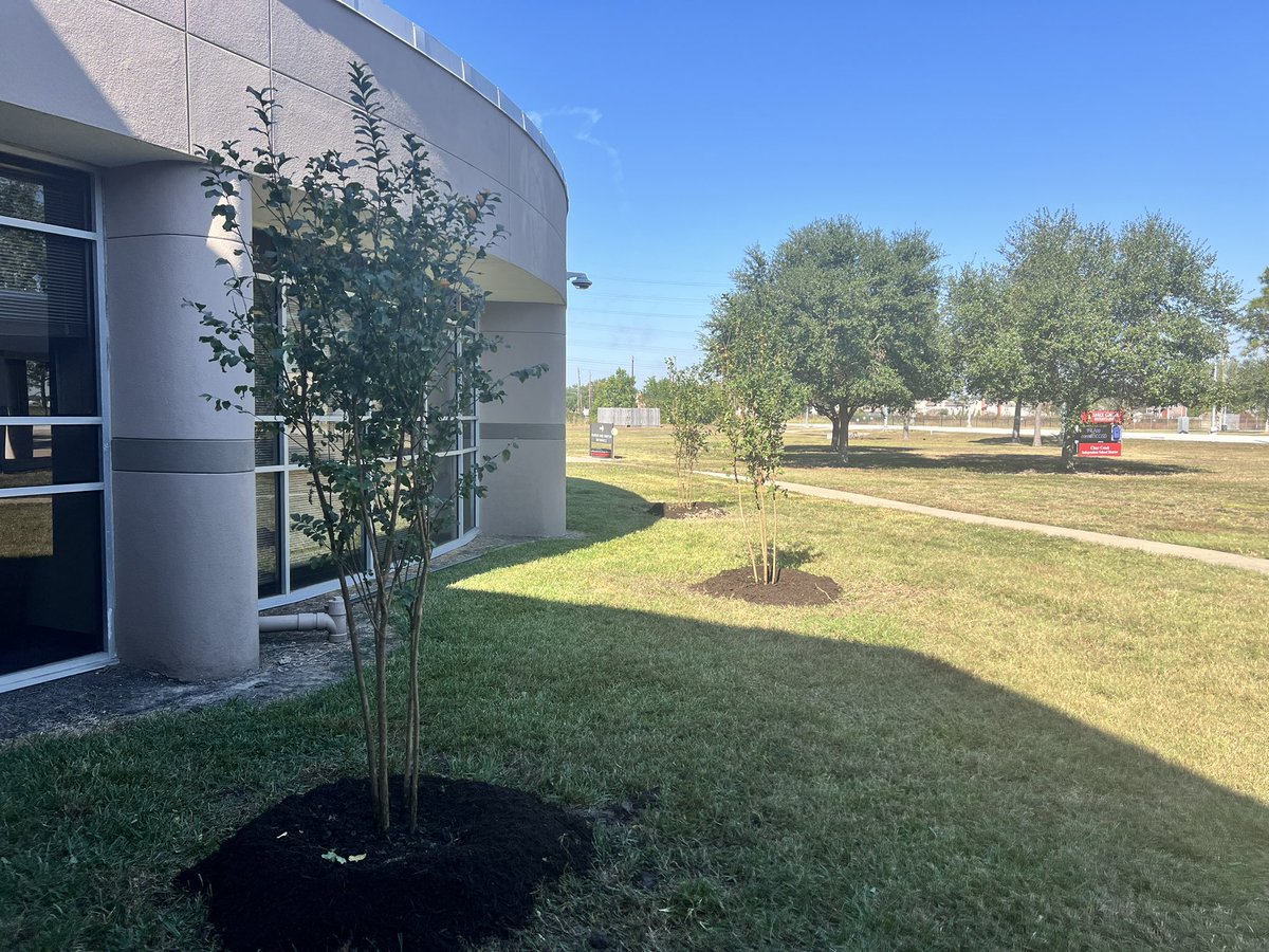 TheAnnThornton's tweet photo. Thank you Clear Creek Community Church for supporting our Cardinal community through a clean up and planting day today! @CCCCResources @ClearCreekISD @TheAnnThornton https://t.co/LmBsYK9LLI
