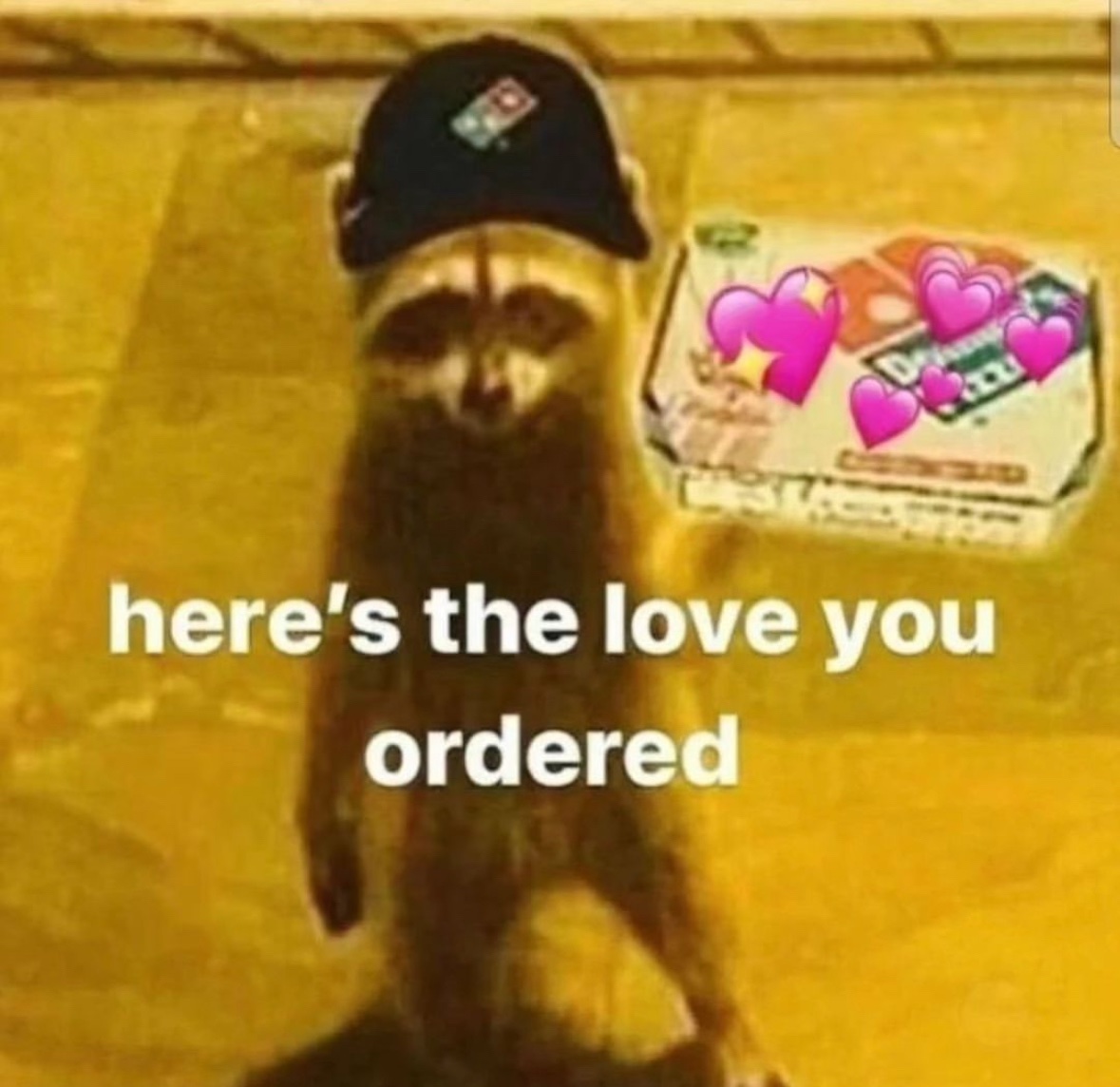 raccoon aesthetic. (@raccoonesthetic) on Twitter photo 